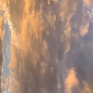 Meet your Posher, Nereyda